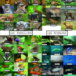 Pack Mots Cachés Animaux