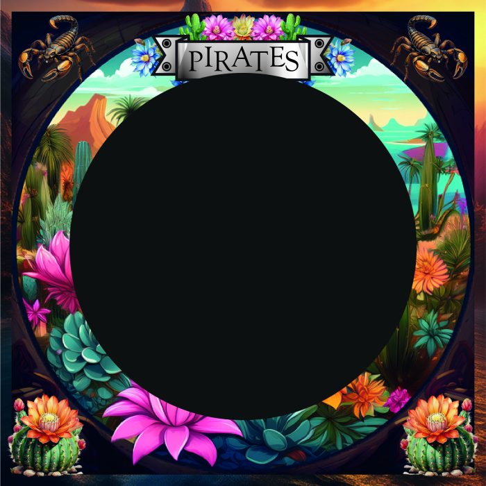 1> Pirates - Jeu des différences